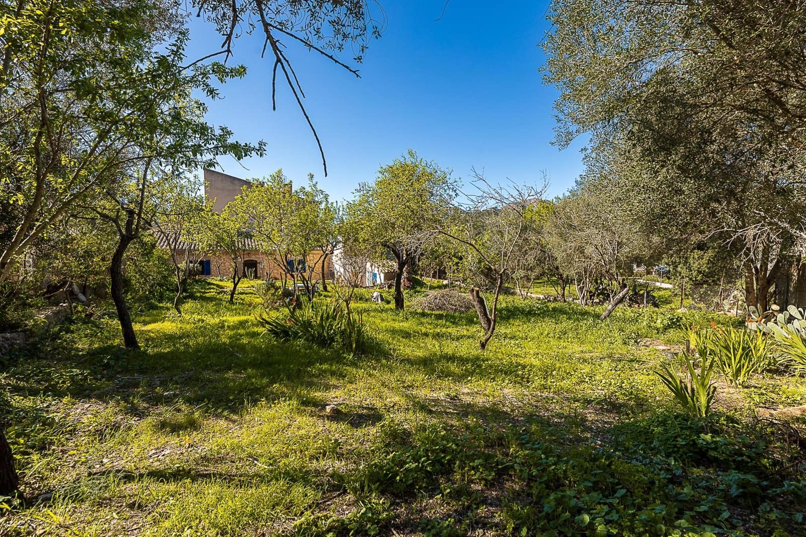 3 chambre Maison de Ville à vendre à Andratx - 630 000 € (Ref: 9625484)