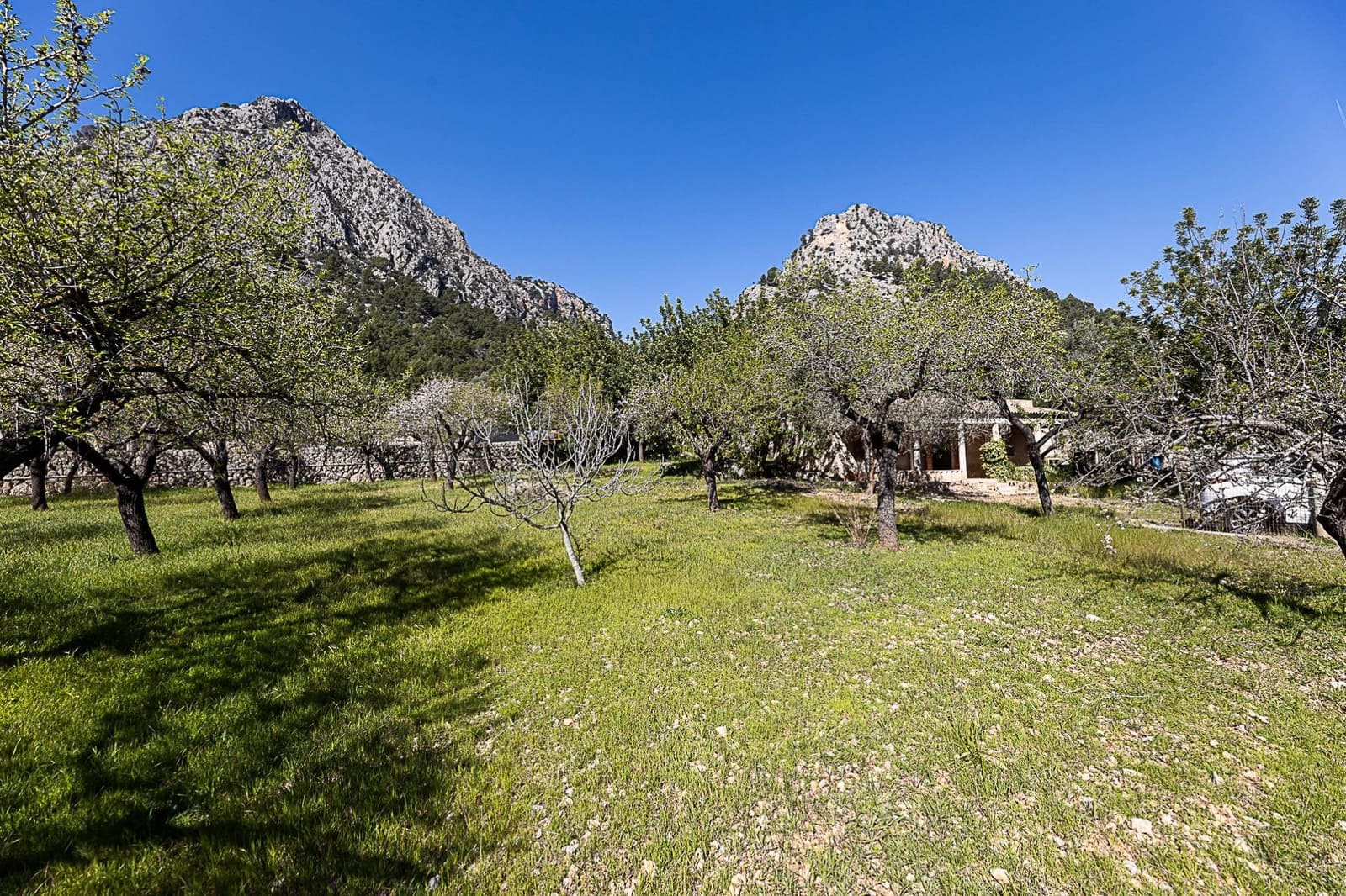 Finca/Country House for sale in Bunyola - € 206,000 (Ref: 9637499)