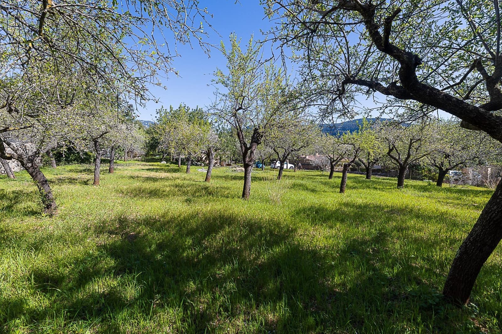Finca/Country House for sale in Bunyola - € 206,000 (Ref: 9637499)