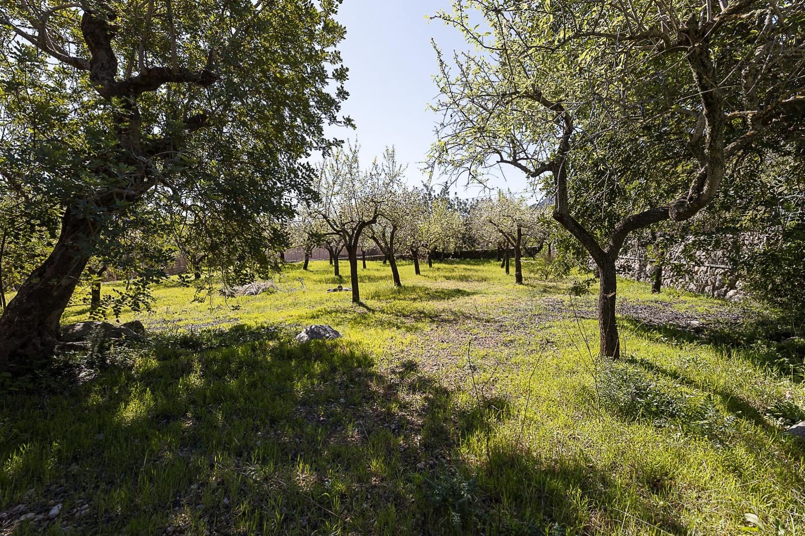 Finca/Country House for sale in Bunyola - € 206,000 (Ref: 9637499)