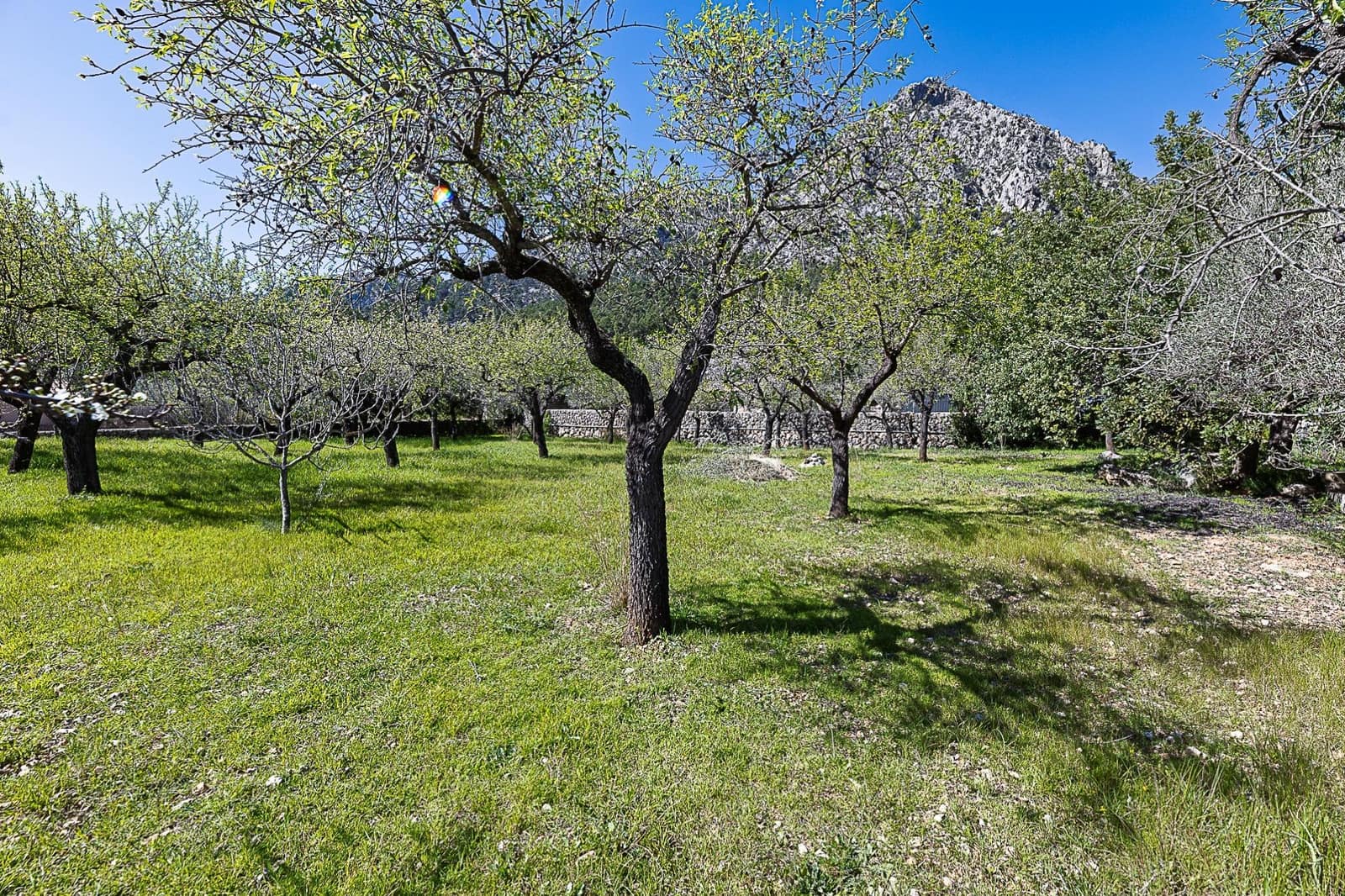 Finca/Country House for sale in Bunyola - € 206,000 (Ref: 9637499)