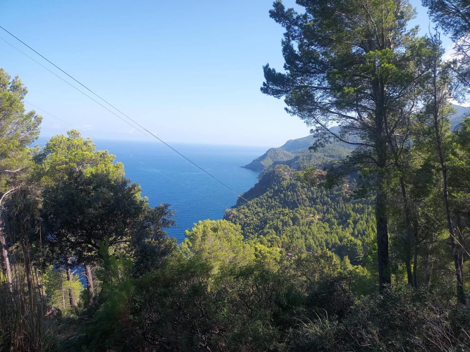 Undeveloped Land for sale in Estellenchs - € 249,000 (Ref: 9751935)