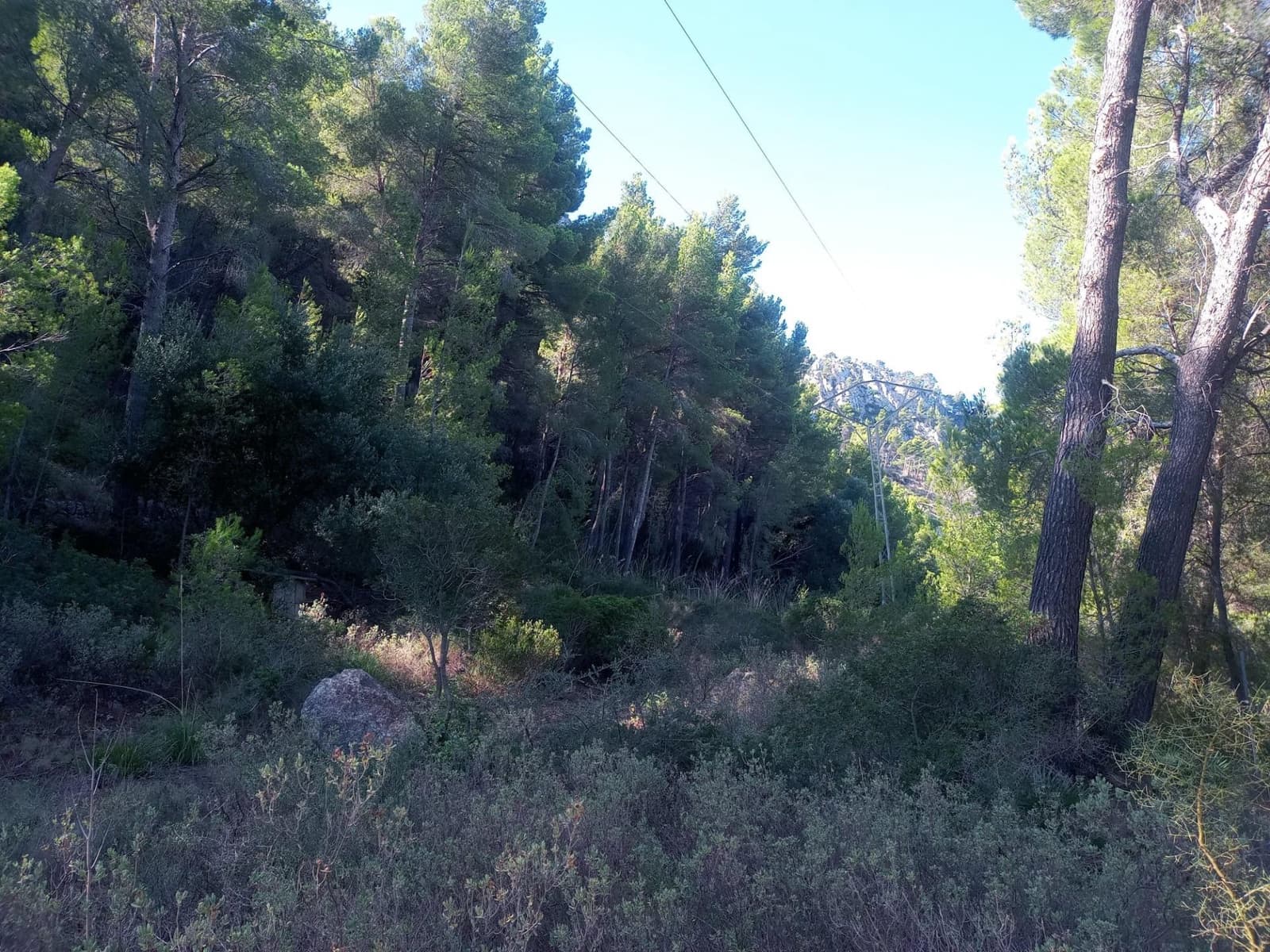 Undeveloped Land for sale in Estellenchs - € 249,000 (Ref: 9751935)