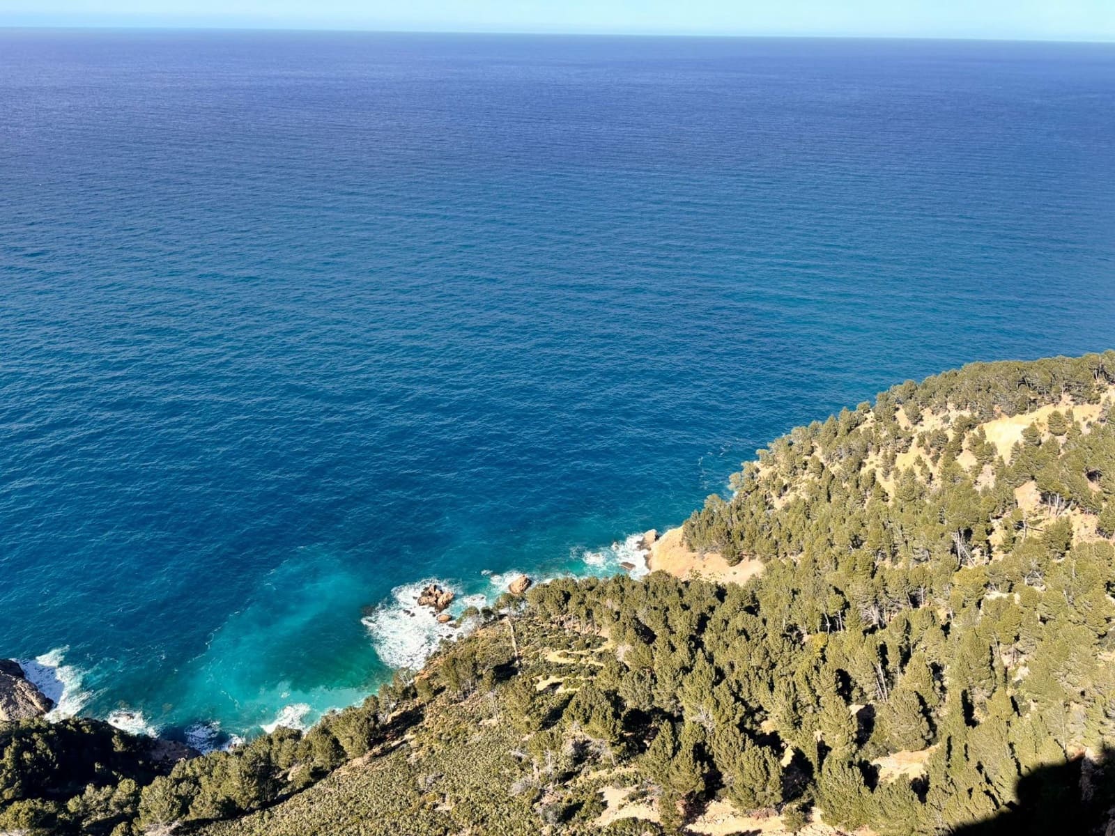 Undeveloped Land for sale in Estellenchs - € 249,000 (Ref: 9751935)