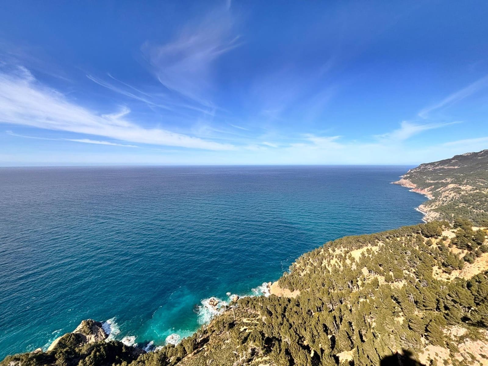 Undeveloped Land for sale in Estellenchs - € 249,000 (Ref: 9751935)