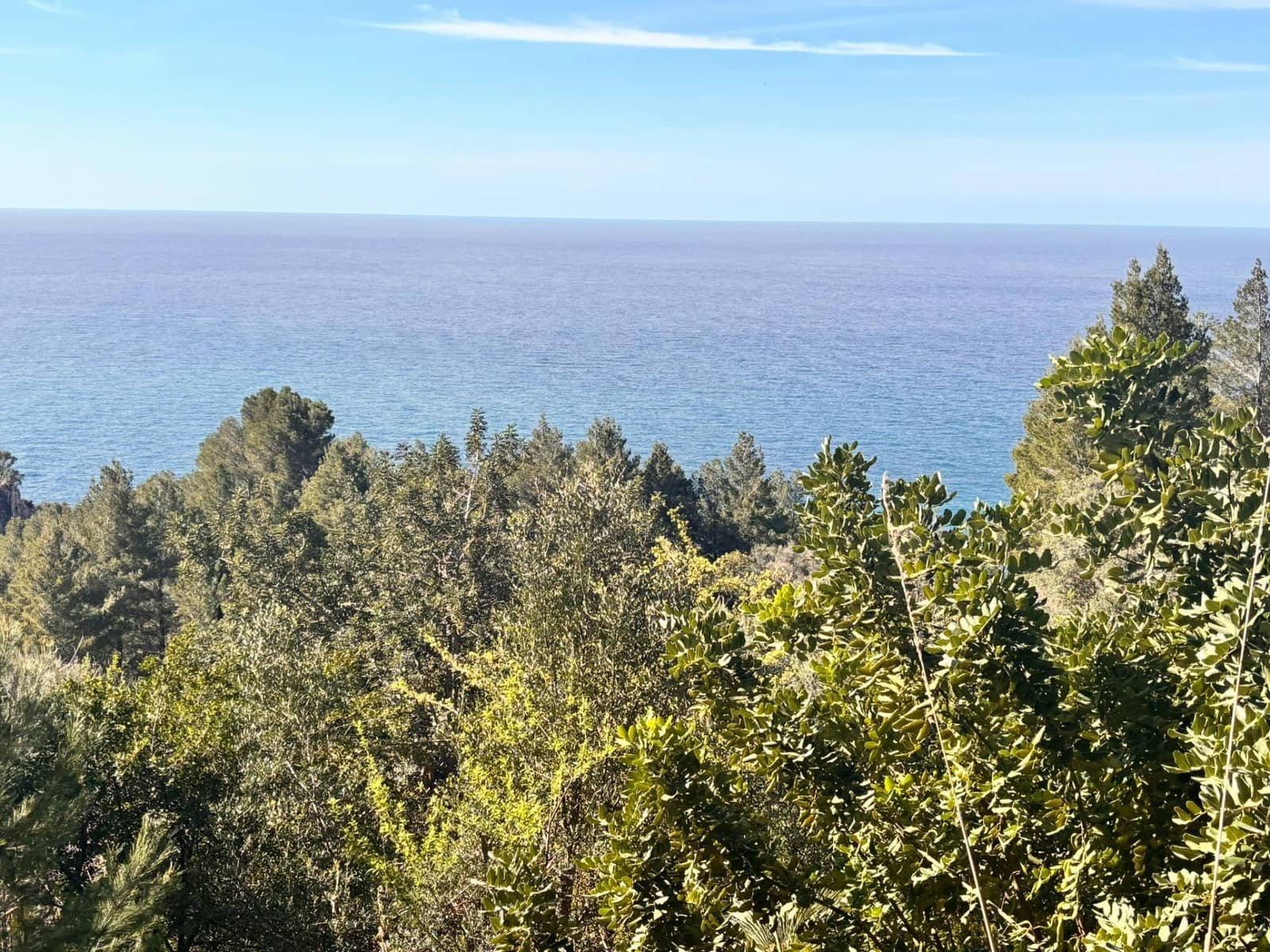 Undeveloped Land for sale in Estellenchs - € 249,000 (Ref: 9751935)