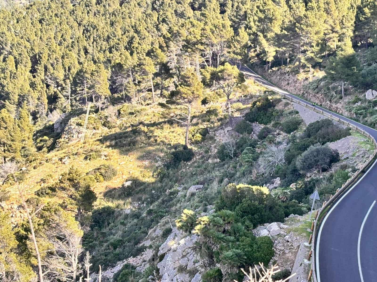 Undeveloped Land for sale in Estellenchs - € 249,000 (Ref: 9751935)