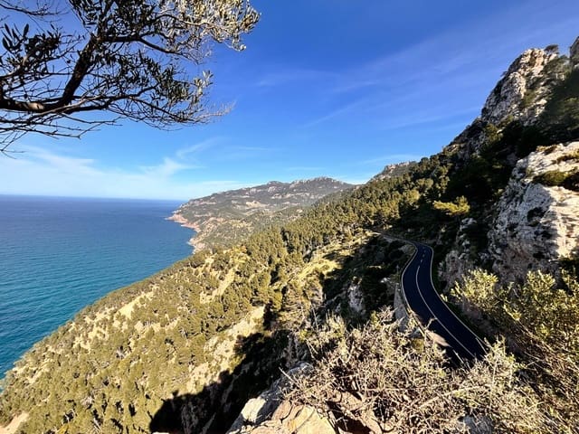 Terreno Non Edificato in vendita in Estellenchs - 249.000 € (Rif: 9751935)