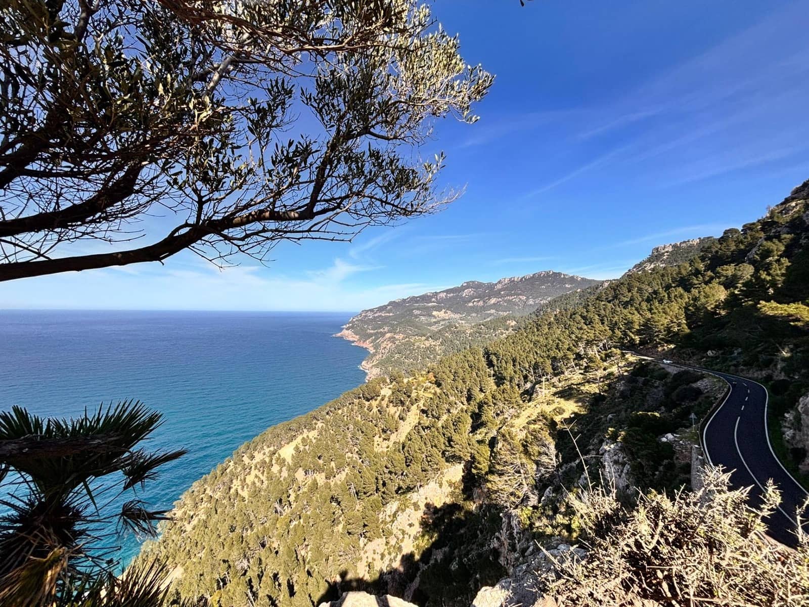 Undeveloped Land for sale in Estellenchs - € 249,000 (Ref: 9751935)