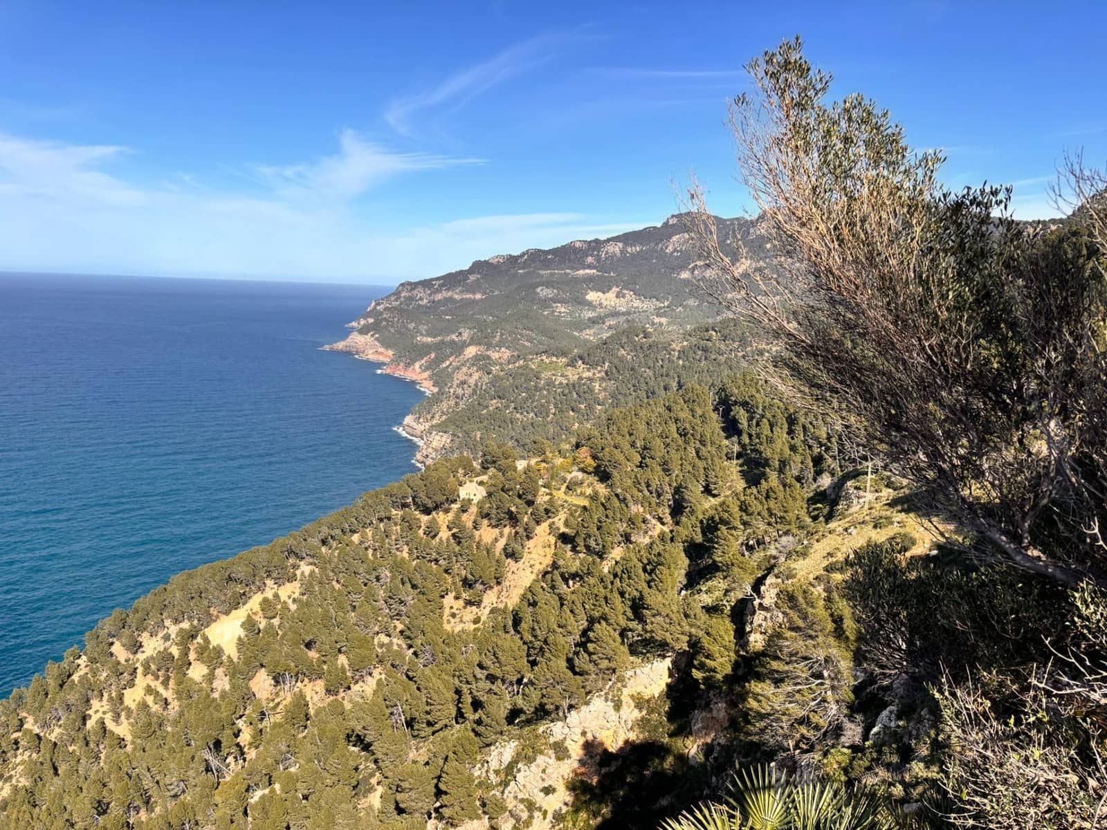 Undeveloped Land for sale in Estellenchs - € 249,000 (Ref: 9751935)