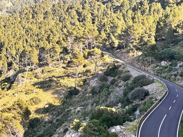 Terreno Non Edificato in vendita in Estellenchs - 249.000 € (Rif: 9751935)