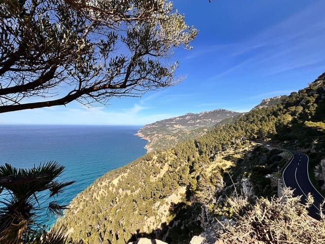 Terreno Non Edificato in vendita in Estellenchs - 249.000 € (Rif: 9751935)