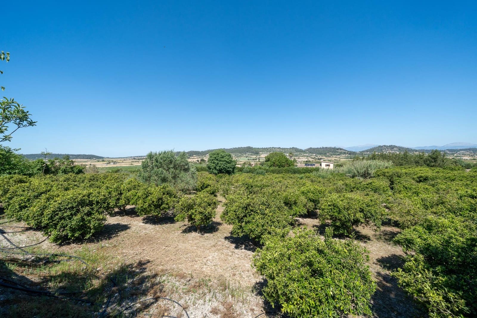 3 quarto Quinta/Casa Rural para venda em Sant Joan com piscina garagem - 599 000 € (Ref: 9861836)