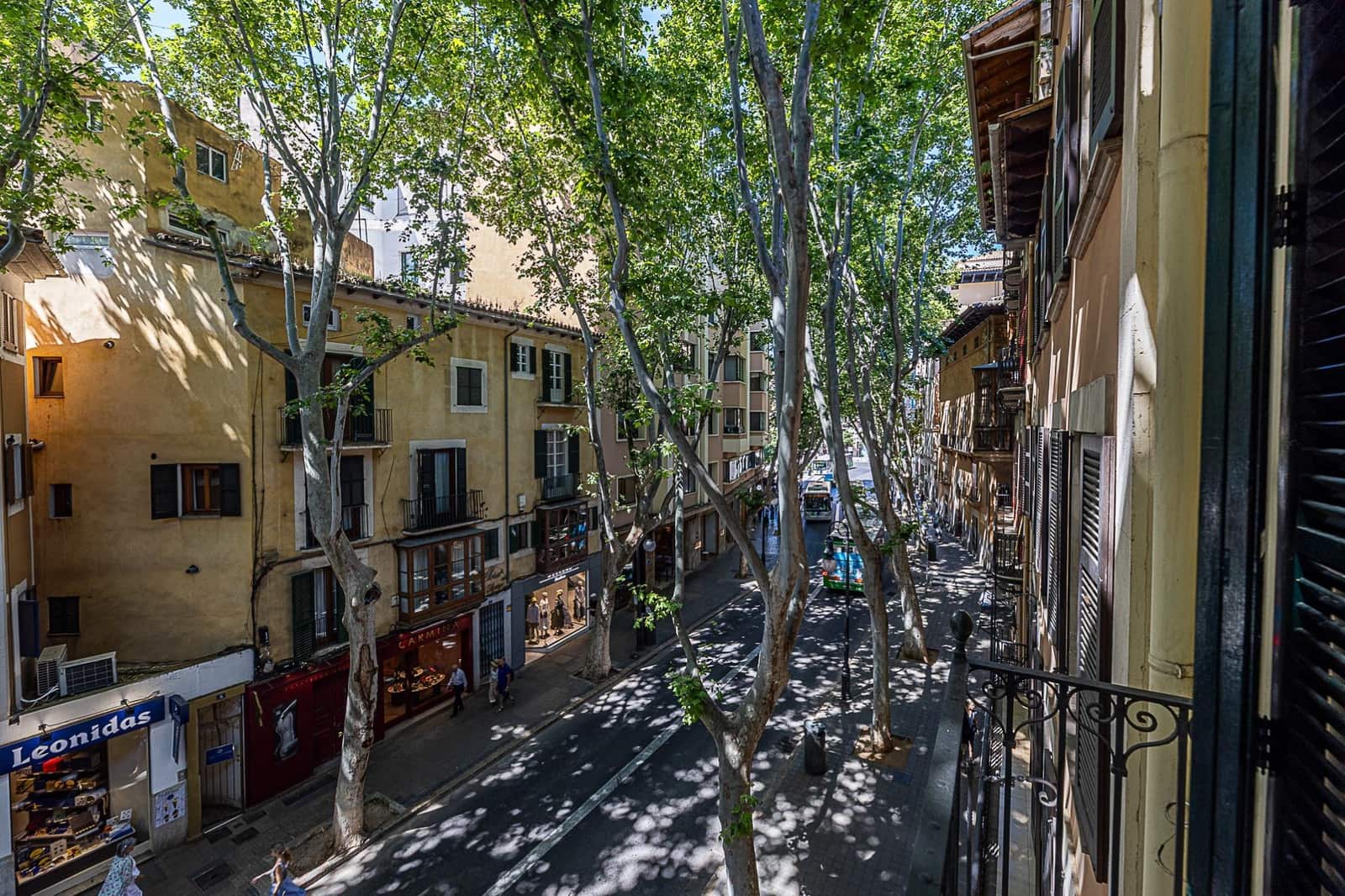 3 makuuhuone Huoneisto vuokrattavana paikassa Palma de Mallorca - 1 900 € (Ref: 9868537)