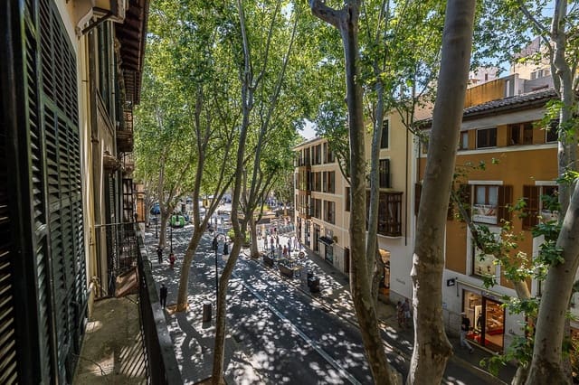 3 makuuhuone Huoneisto vuokrattavana paikassa Centro, Palma de Mallorca - 1 900 € (Ref: 9868537)