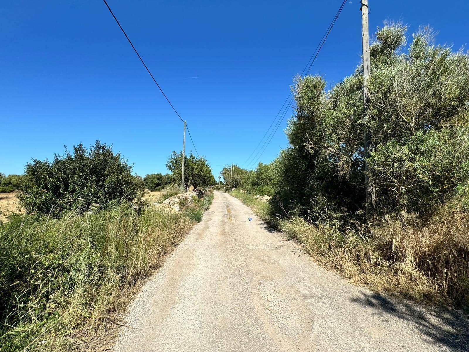 Teren niezagospodarowany na sprzedaż w Algaida - 248 000 € (Ref: 9884736)