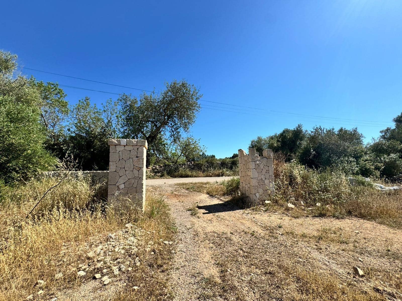 Teren niezagospodarowany na sprzedaż w Algaida - 248 000 € (Ref: 9884736)