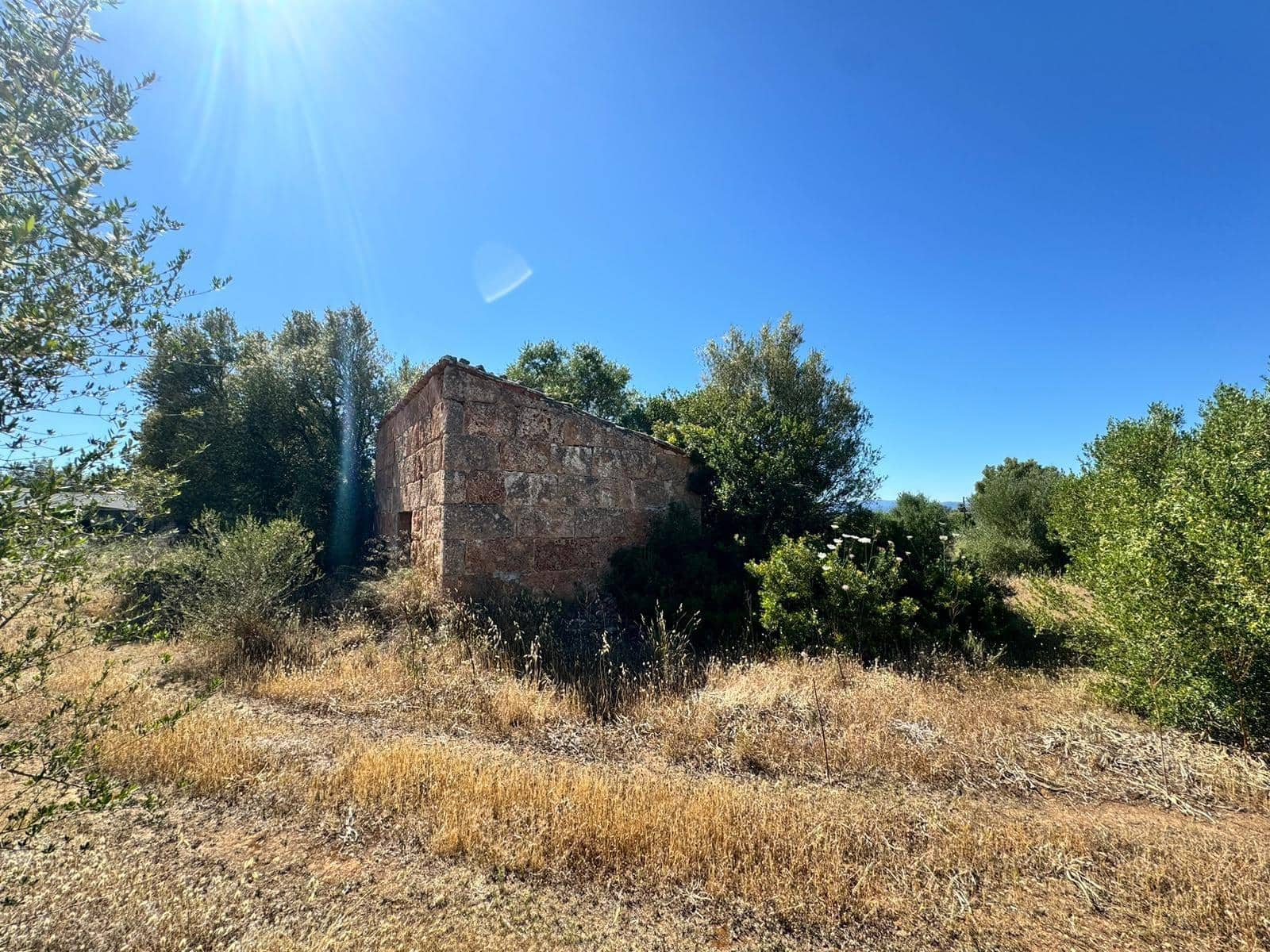 Teren niezagospodarowany na sprzedaż w Algaida - 248 000 € (Ref: 9884736)