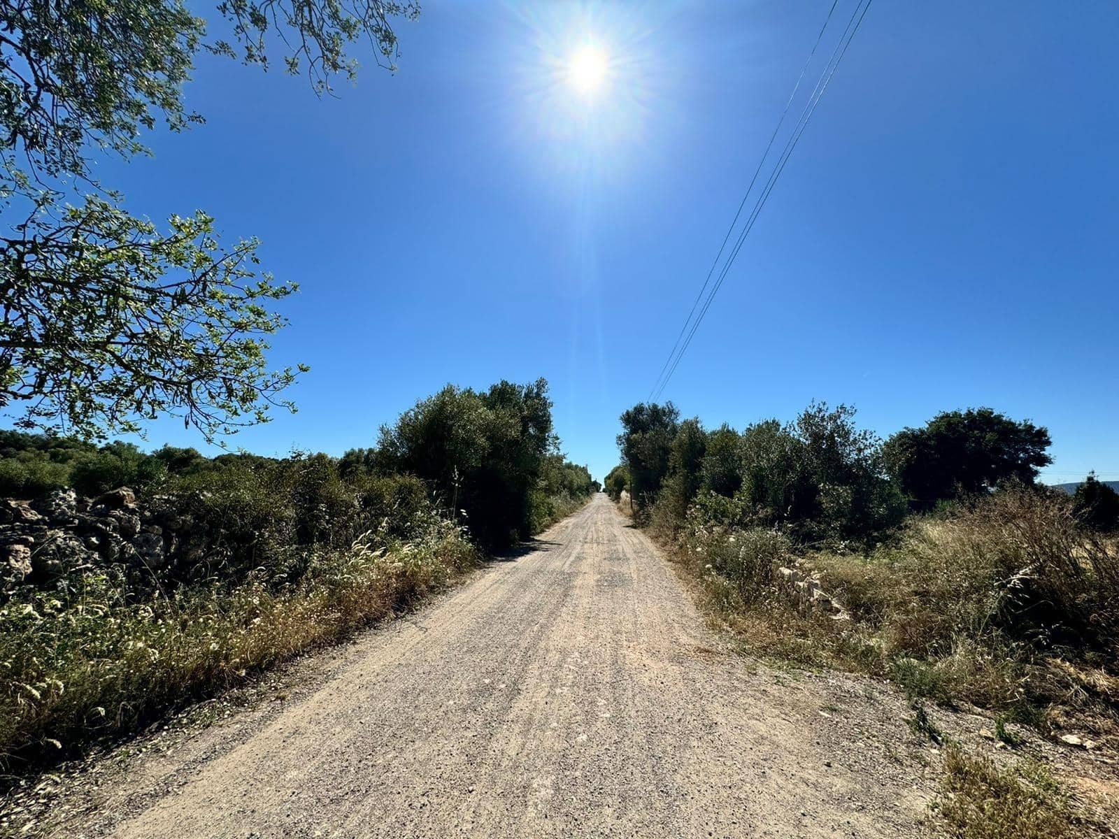 Teren niezagospodarowany na sprzedaż w Algaida - 248 000 € (Ref: 9884736)