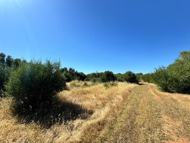 Grunde uden byggetilladelser til salg i Algaida - € 248.000 (Ref: 9884736)