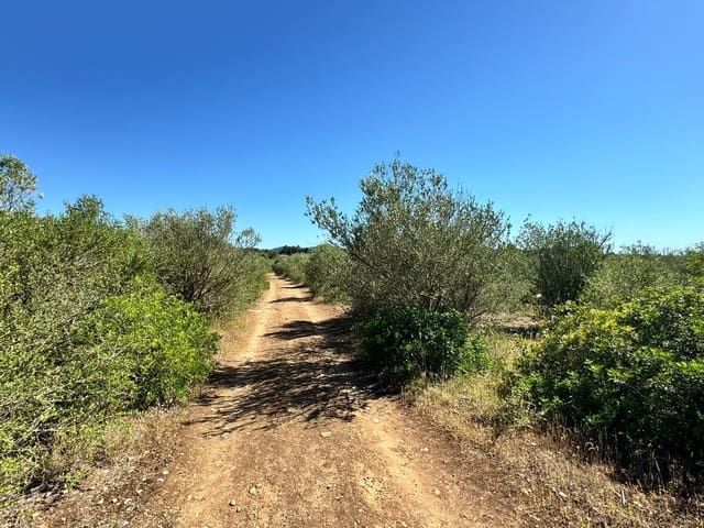Grunde uden byggetilladelser til salg i Algaida - € 248.000 (Ref: 9884736)