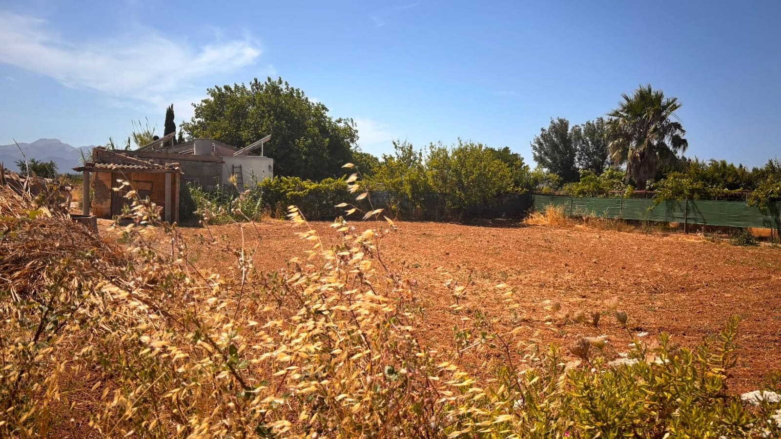 Undeveloped Land for sale in Muro - € 43,000 (Ref: 9975376)