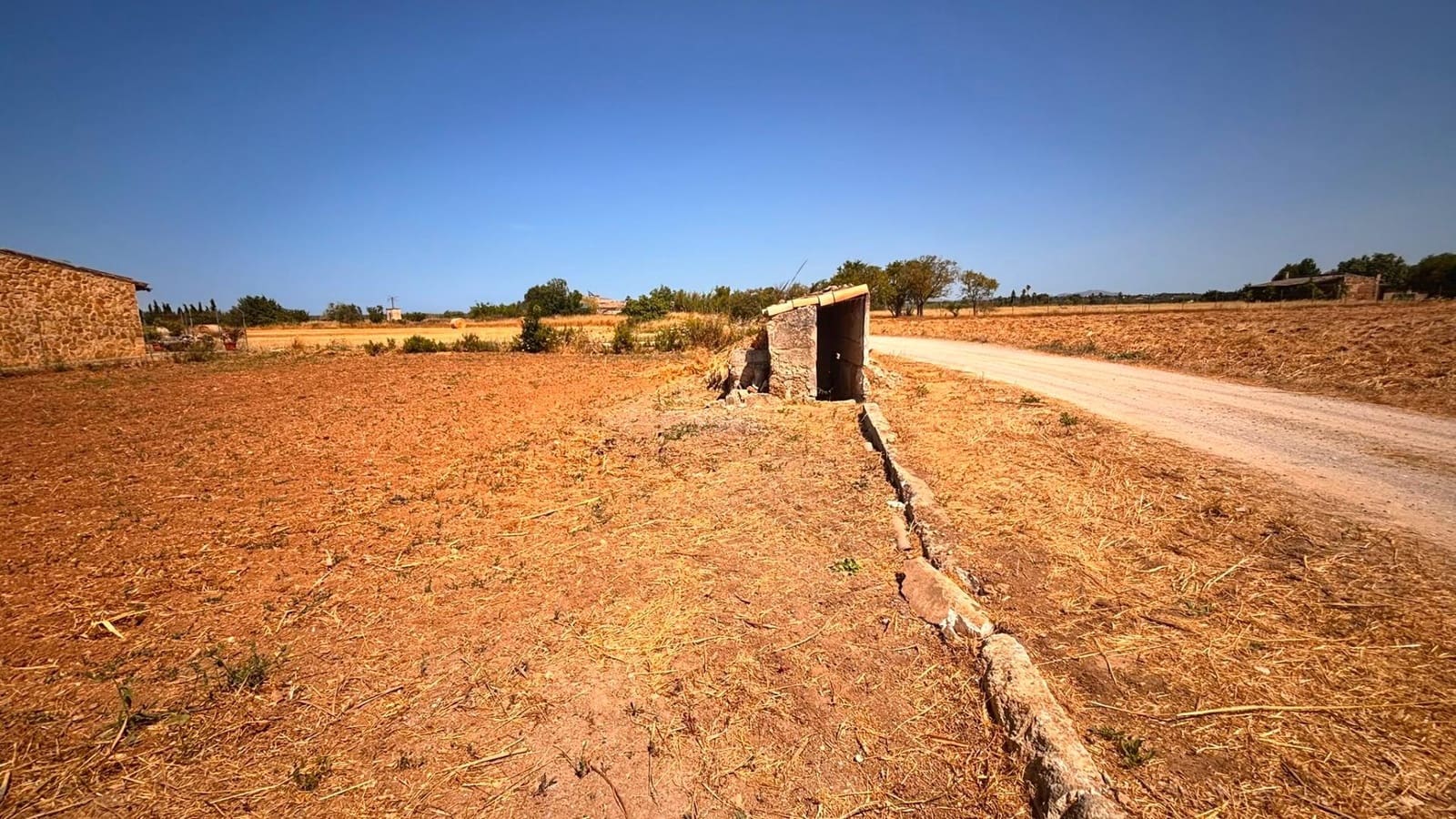 Undeveloped Land for sale in Muro - € 43,000 (Ref: 9975376)