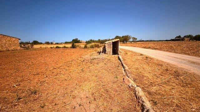 Finca/Landhuis te koop in Muro - € 43.000 (Ref: 9975376)