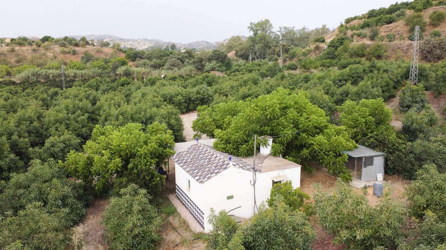 3 bedroom Finca/Country House for sale in Coin with pool - € 2,450,000 (Ref: 10004976)