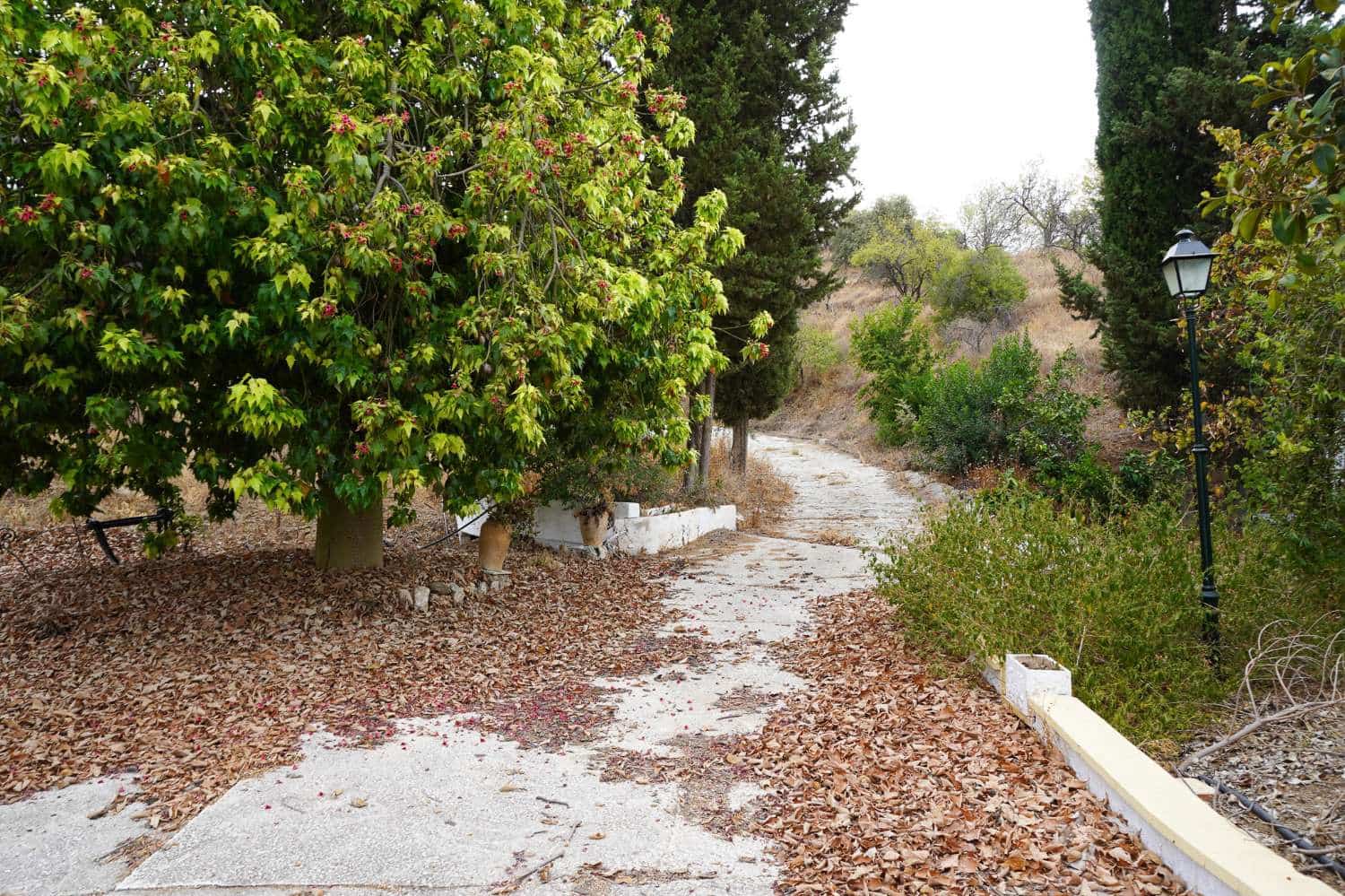3 bedroom Finca/Country House for sale in Coin with pool - € 2,450,000 (Ref: 10004976)