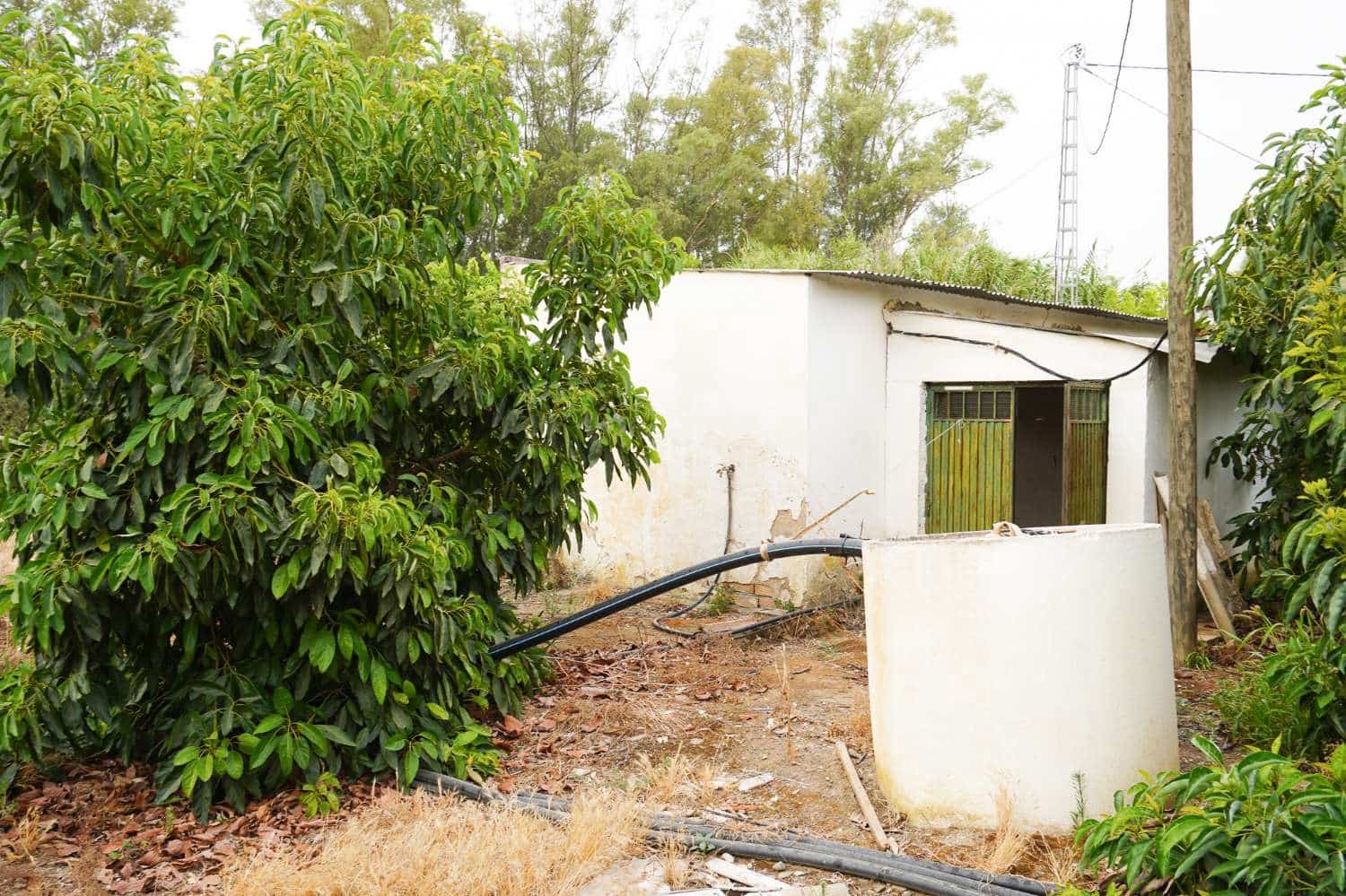 3 bedroom Finca/Country House for sale in Coin with pool - € 2,450,000 (Ref: 10004976)