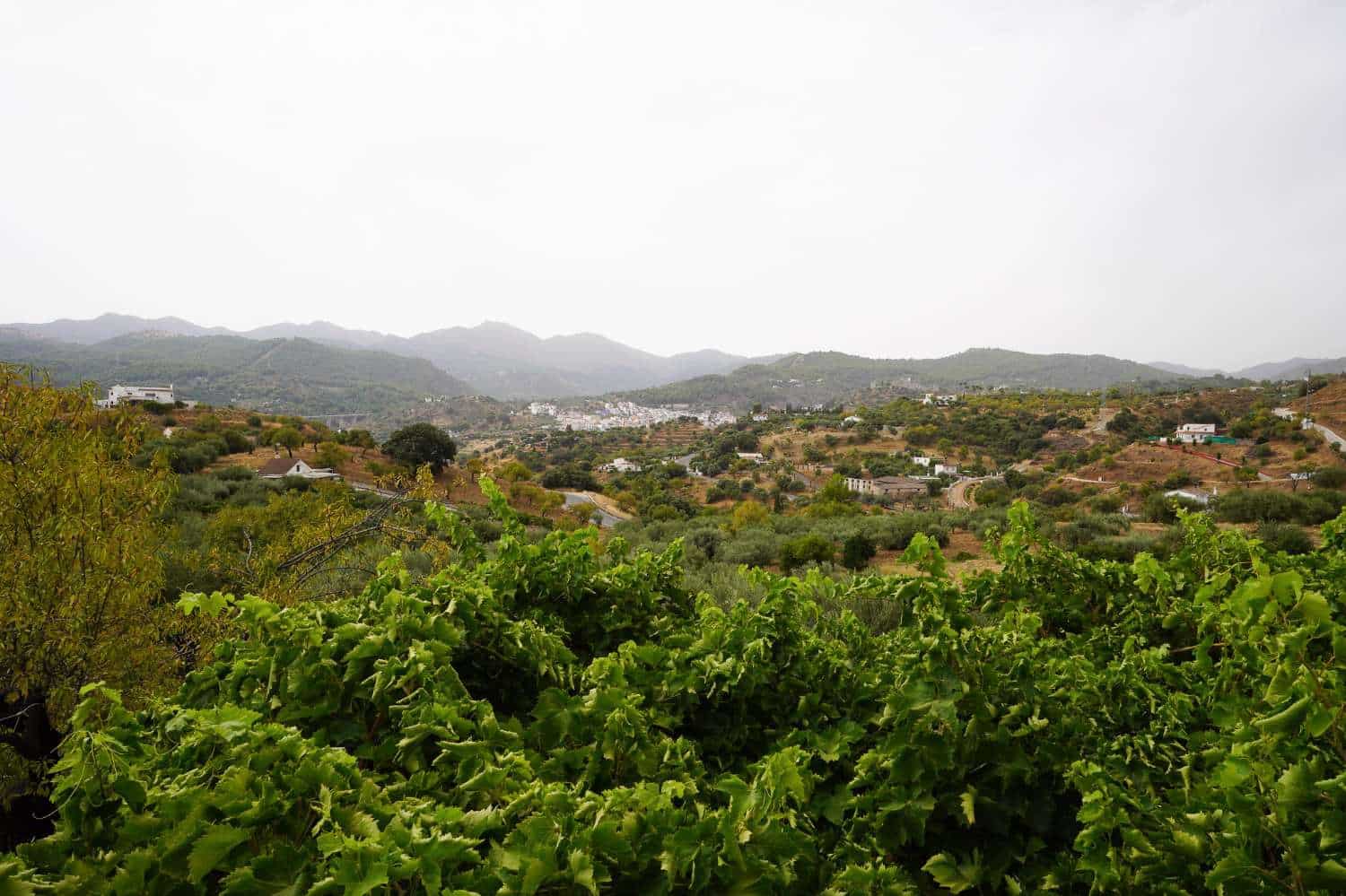Finca/Casa Rural de 3 habitaciones en Monda en venta - 536.000 € (Ref: 10004977)