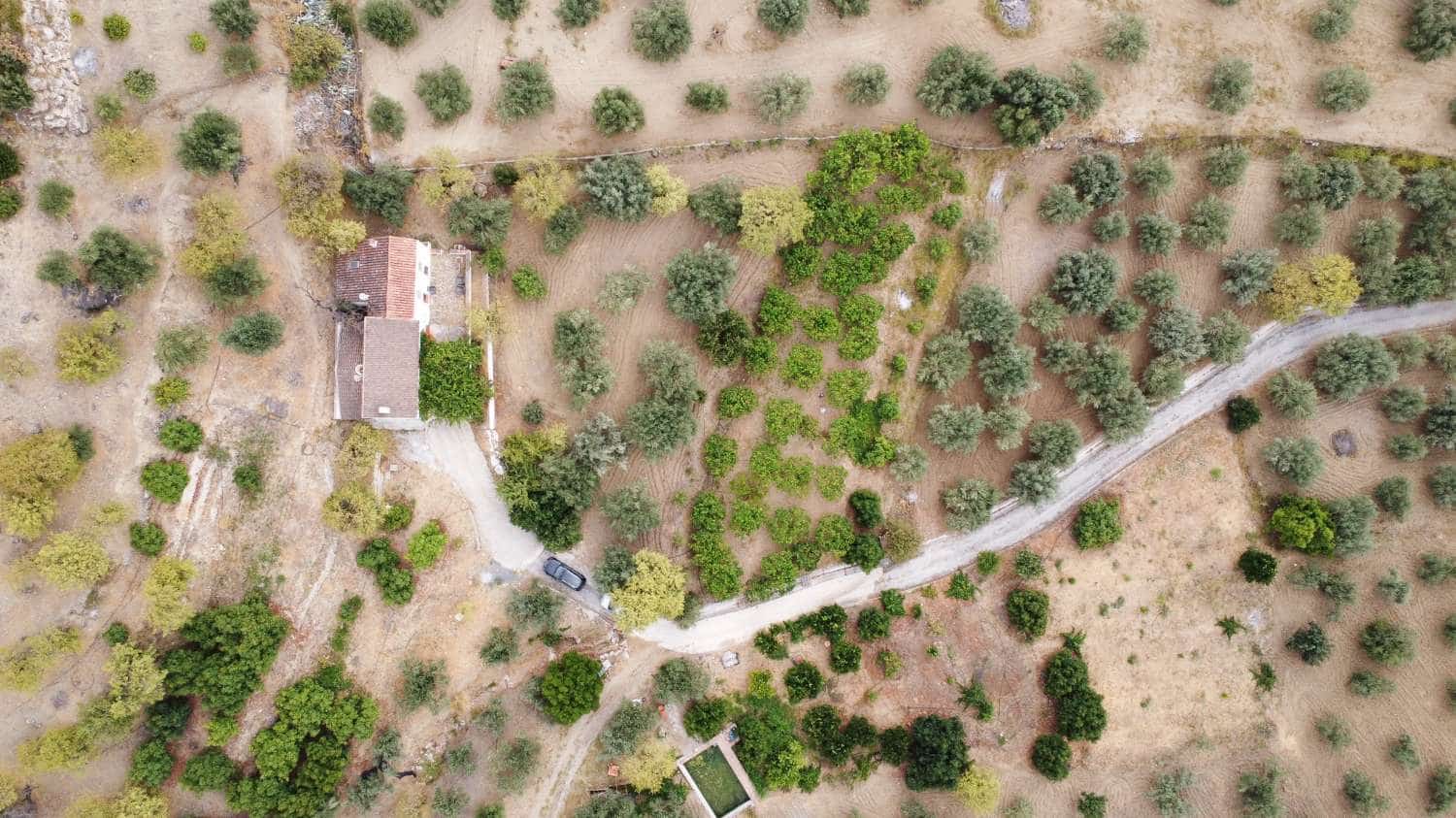 Finca/Casa Rural de 3 habitaciones en Monda en venta - 536.000 € (Ref: 10004977)
