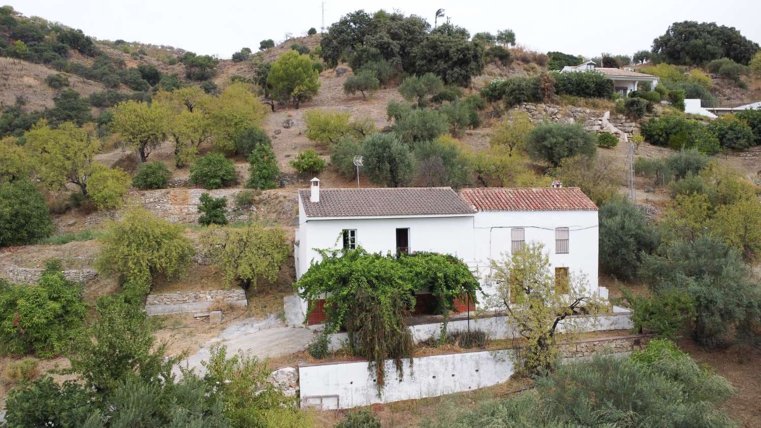 Finca/Casa Rural de 3 habitaciones en Monda en venta - 536.000 € (Ref: 10004977)