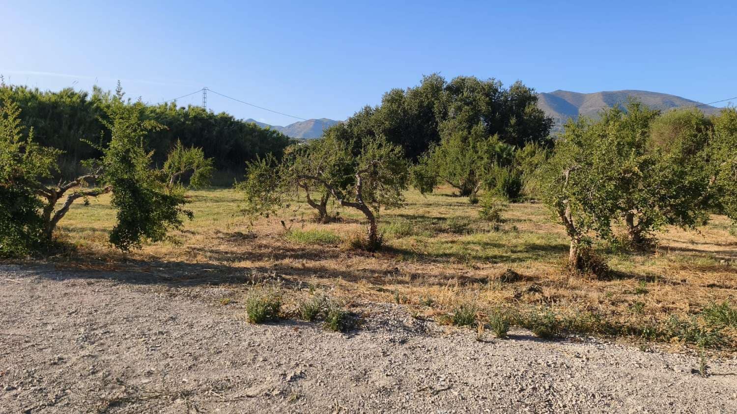 Tomt till salu i Cartama - 66 000 € (Ref: 10008288)