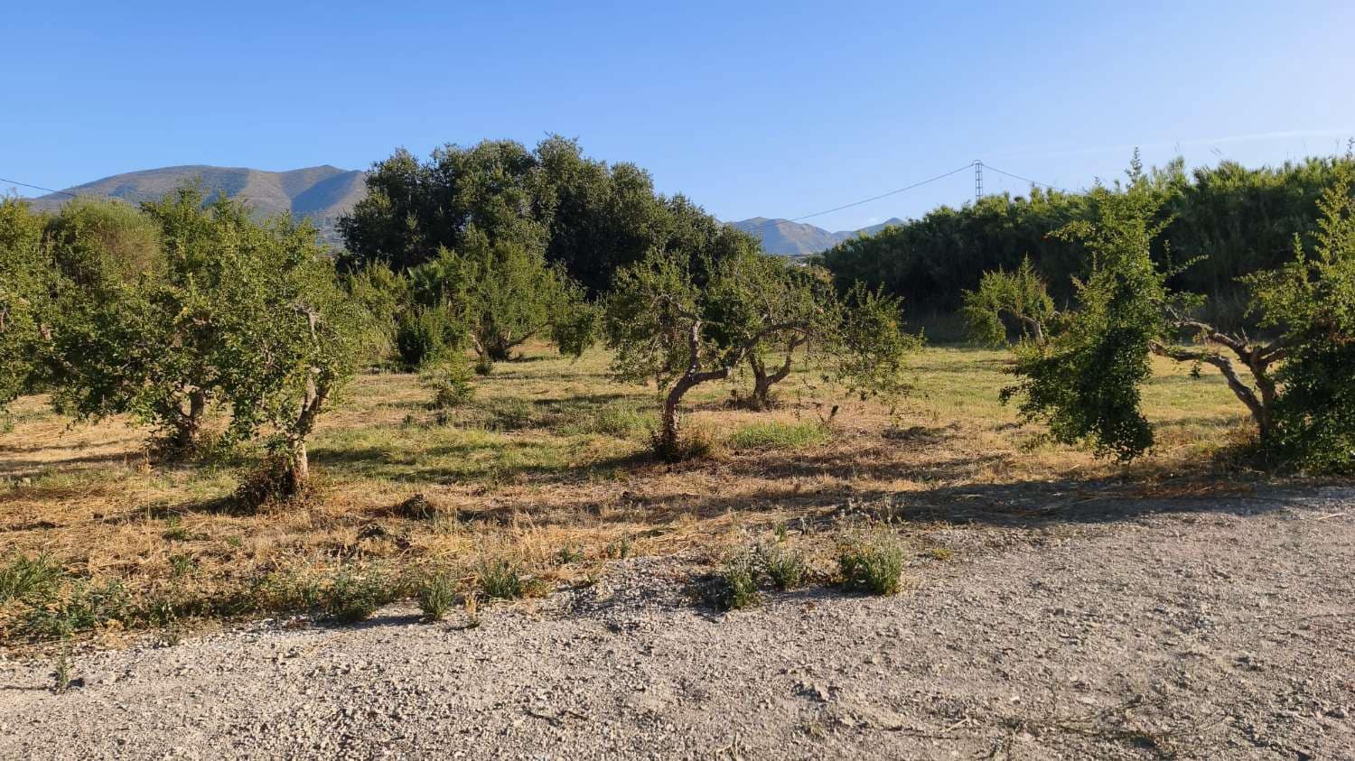 Tomt till salu i Cartama - 66 000 € (Ref: 10008288)