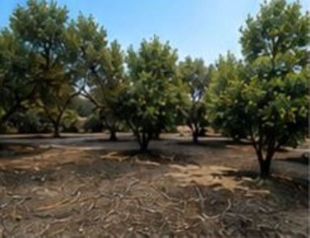 Solar/Parcela en Alhaurín de la Torre en alquiler - 700 € (Ref: 10048696)