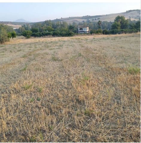 Area Edificabile in vendita in Coín - 90.000 € (Rif: 10170499)