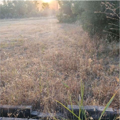 Area Edificabile in vendita in Coín - 90.000 € (Rif: 10170499)