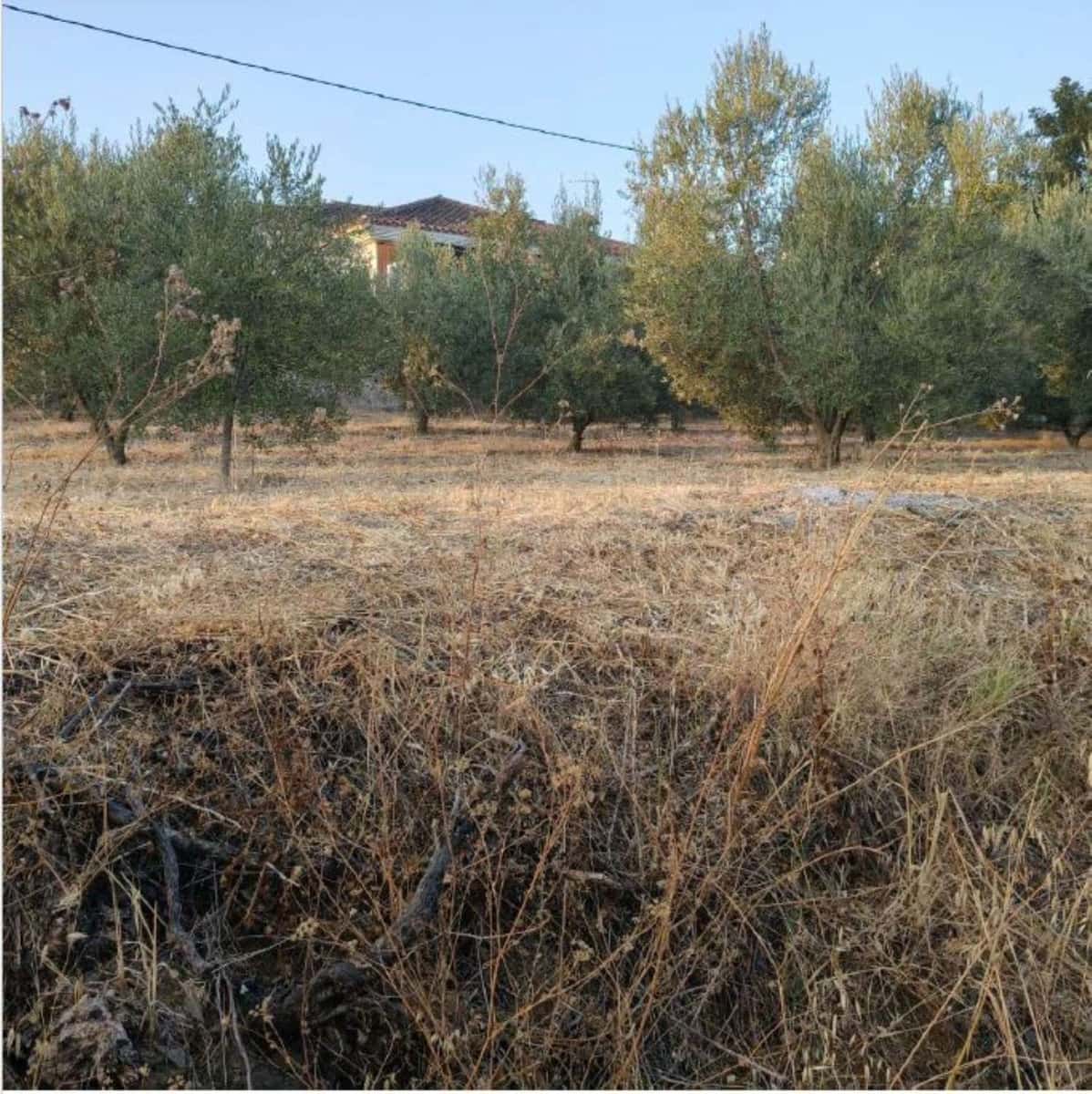 Building Plot for sale in Coin - € 80,000 (Ref: 10170500)