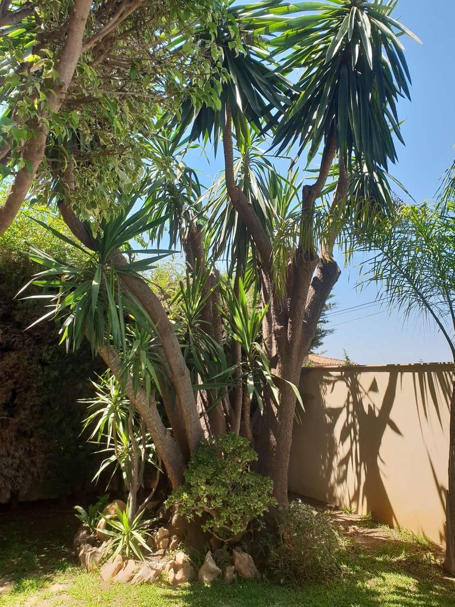 5 slaapkamer Villa te koop in Alhaurin de la Torre met zwembad - € 850.000 (Ref: 1836761)