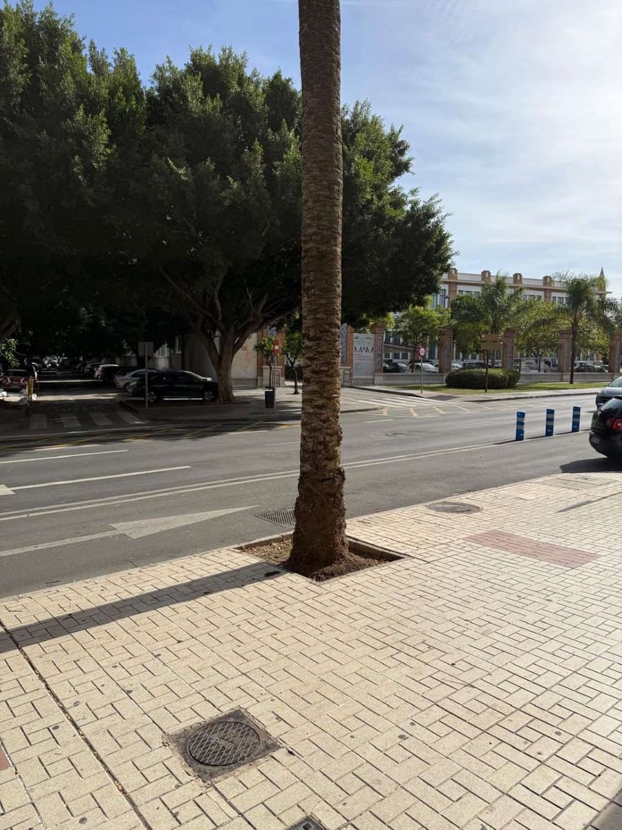 2 sypialnia Mieszkanie na sprzedaż w Miasto Malaga - 300 000 € (Ref: 3204791)