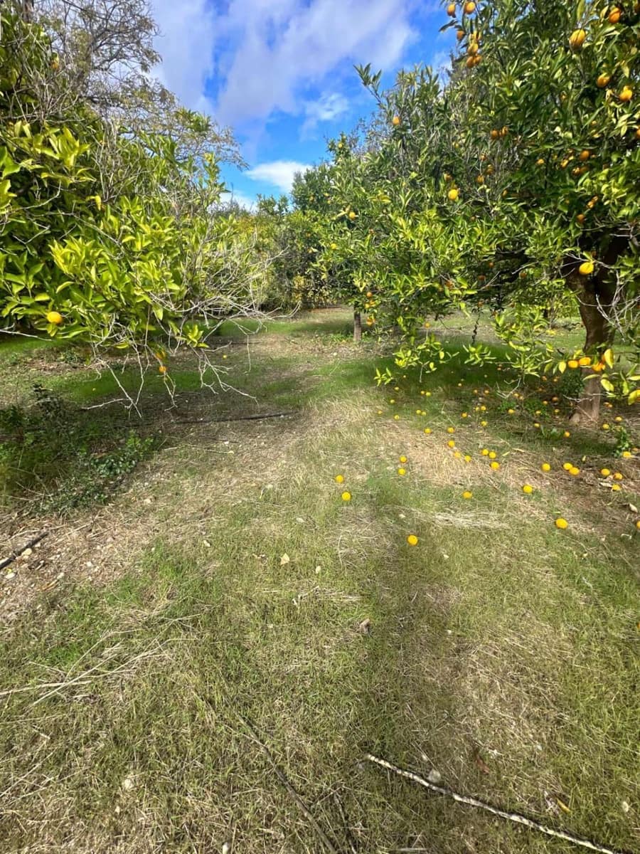 3 sypialnia Willa na sprzedaż w Alora z basenem - 370 000 € (Ref: 3215297)