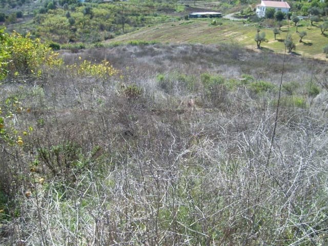 Building Plot for sale in Alora - € 115,000 (Ref: 5221825)