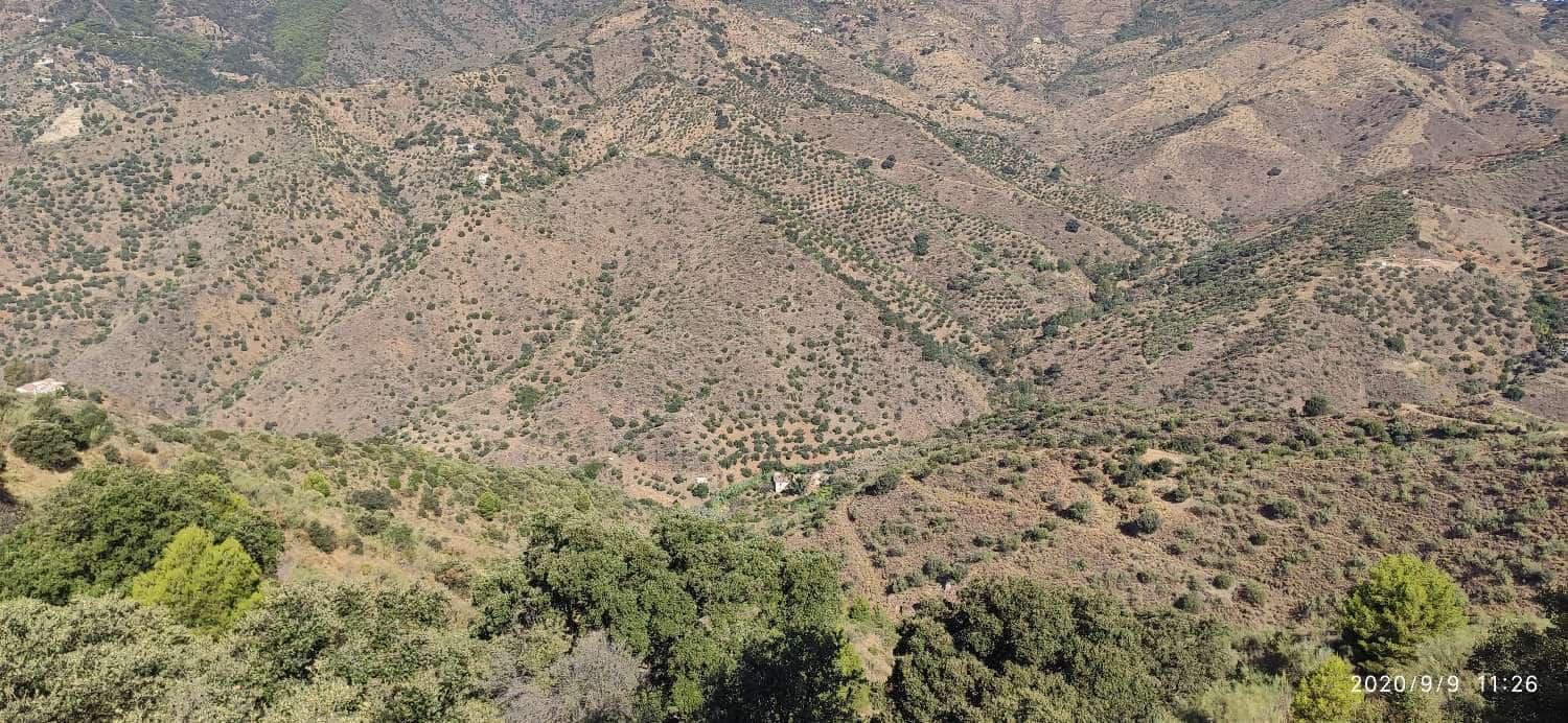 Finca/Landehus til salg i Monda - € 60.000 (Ref: 5221882)