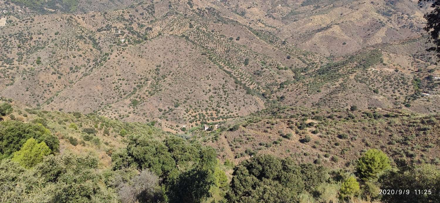 Finca/Landehus til salg i Monda - € 60.000 (Ref: 5221882)