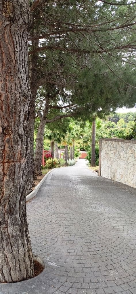 7 sypialnia Willa na sprzedaż w Coin z basenem - 990 000 € (Ref: 5353412)