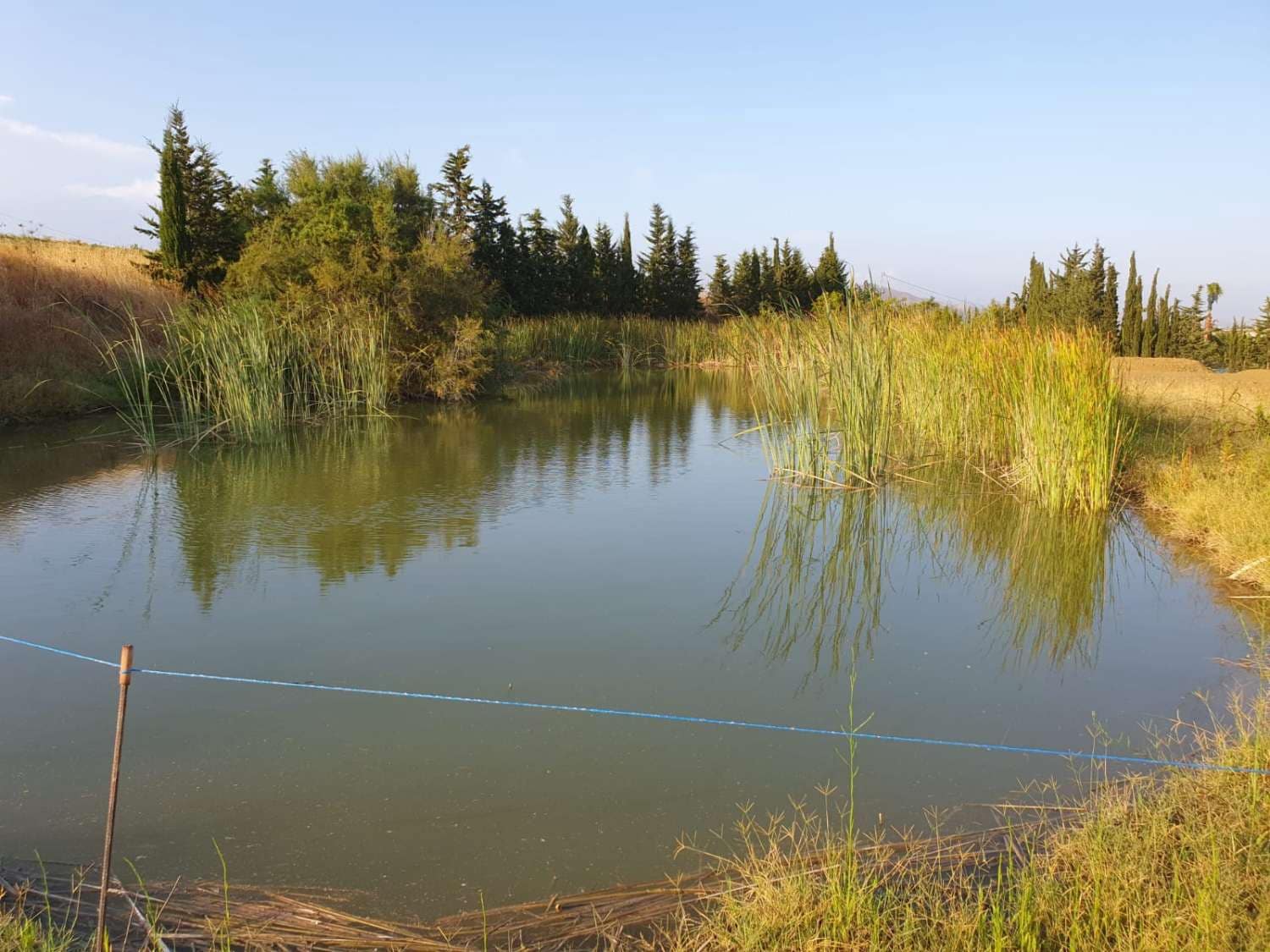 5 soveværelse Finca/Landehus til salg i Cartama med swimmingpool - € 1.100.000 (Ref: 5599807)