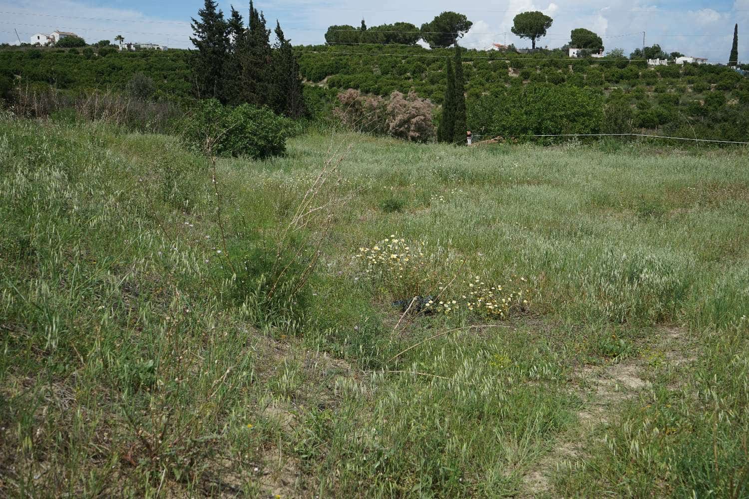Finca/Country House for sale in Cartama - € 300,000 (Ref: 6066330)