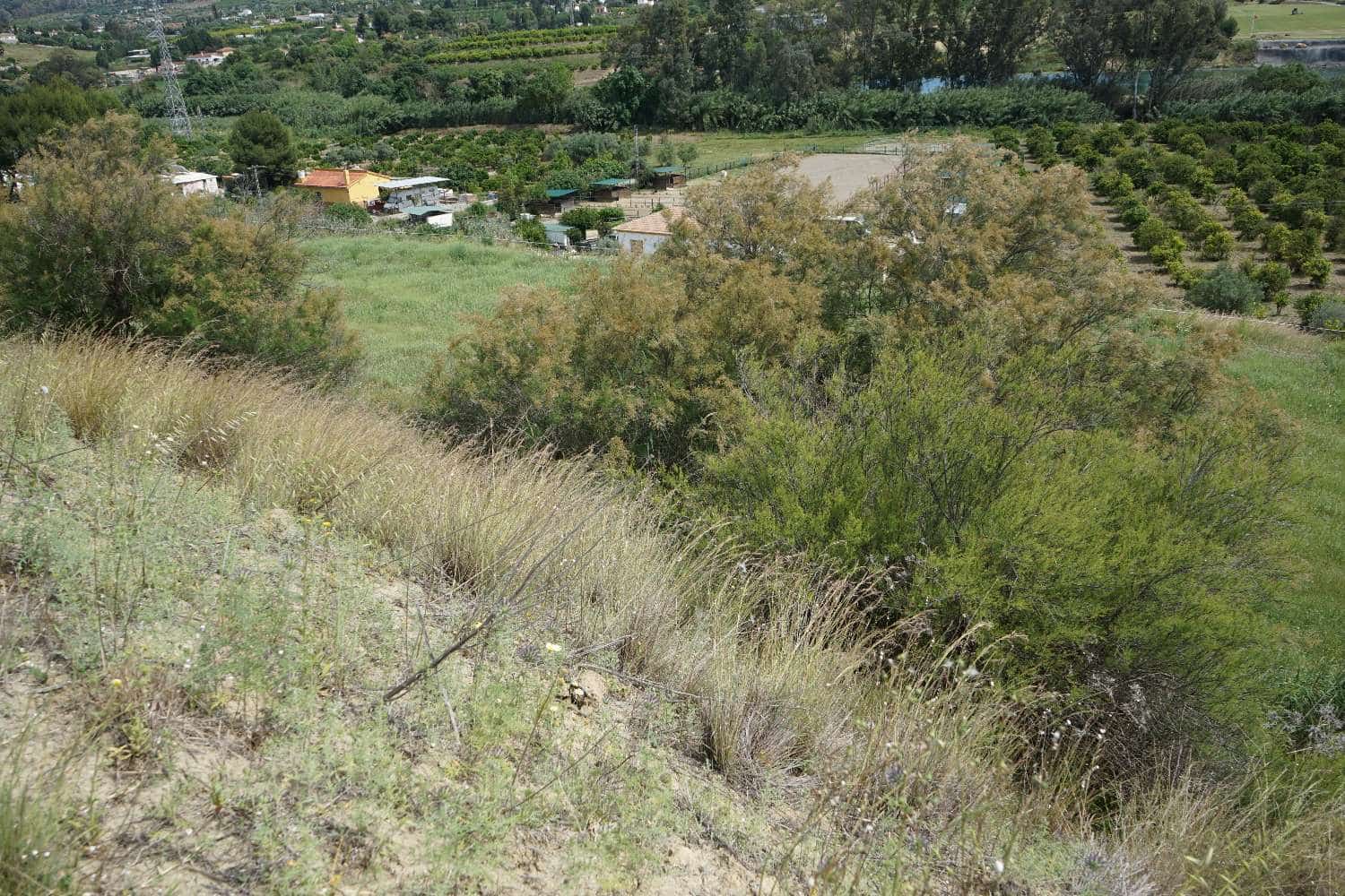 Finca/Country House for sale in Cartama - € 300,000 (Ref: 6066330)